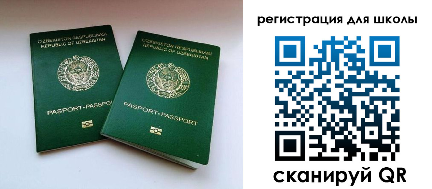 прописка для школы в Каменск-Шахтинском